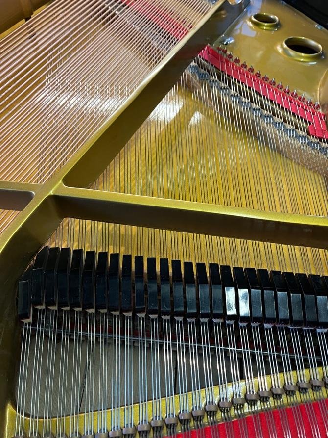 Inside a grand piano showing the strings, bridge and frame during a tuning visit in Sydney’s Eastern Suburbs